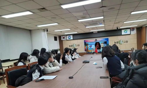 2021中韓學(xué)生線上文化交流活動(dòng)在棗莊市實(shí)驗(yàn)學(xué)校成功舉辦市場(chǎng)營銷策劃方案